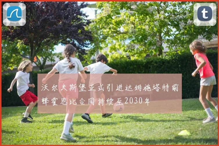 沃尔夫斯堡正式引进达姆施塔特前锋霍恩比合同持续至2030年