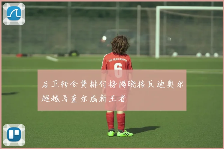 后卫转会费排行榜揭晓格瓦迪奥尔超越马奎尔成新王者
