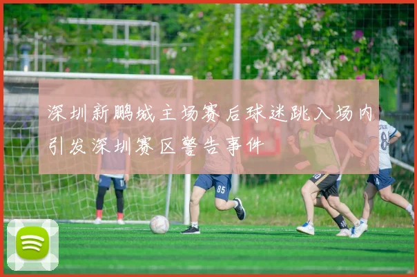 深圳新鹏城主场赛后球迷跳入场内引发深圳赛区警告事件